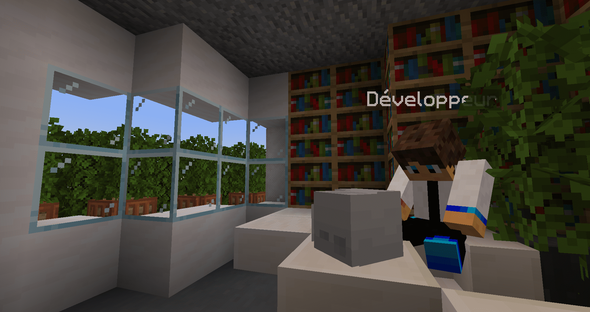 Developpeur