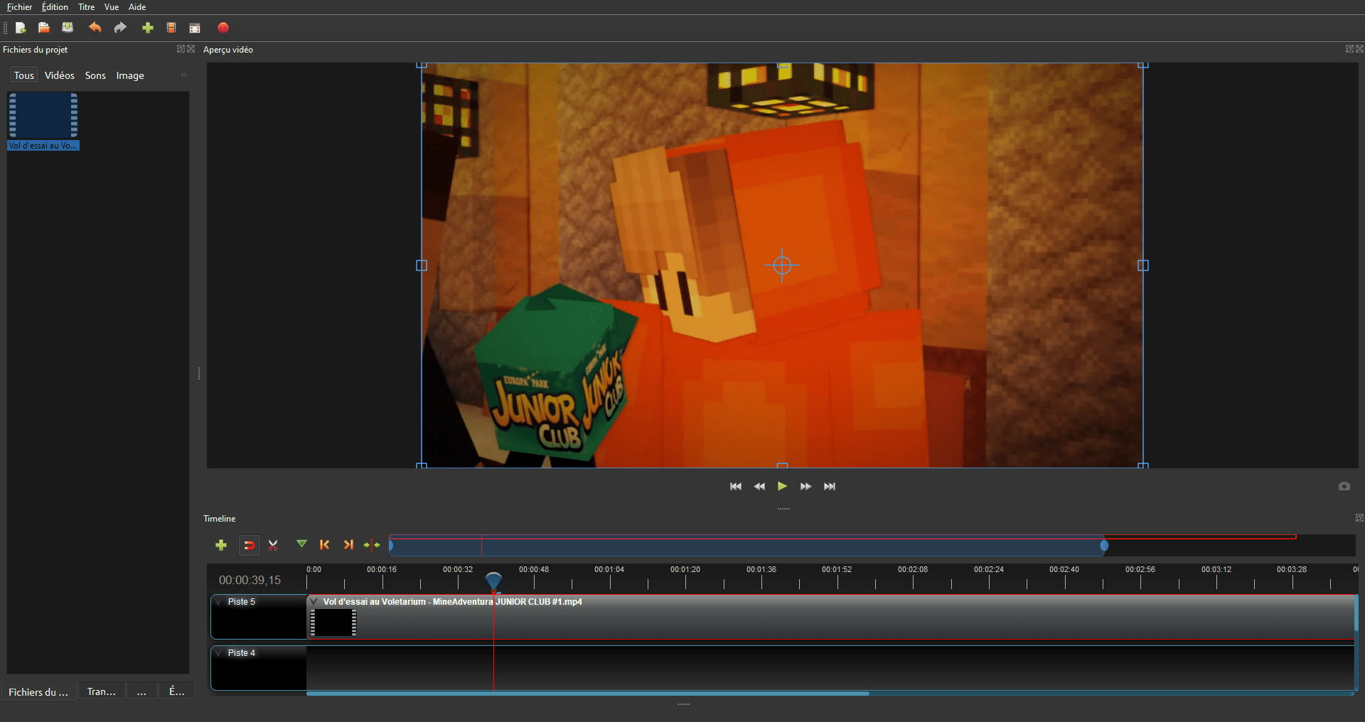 Montage Video